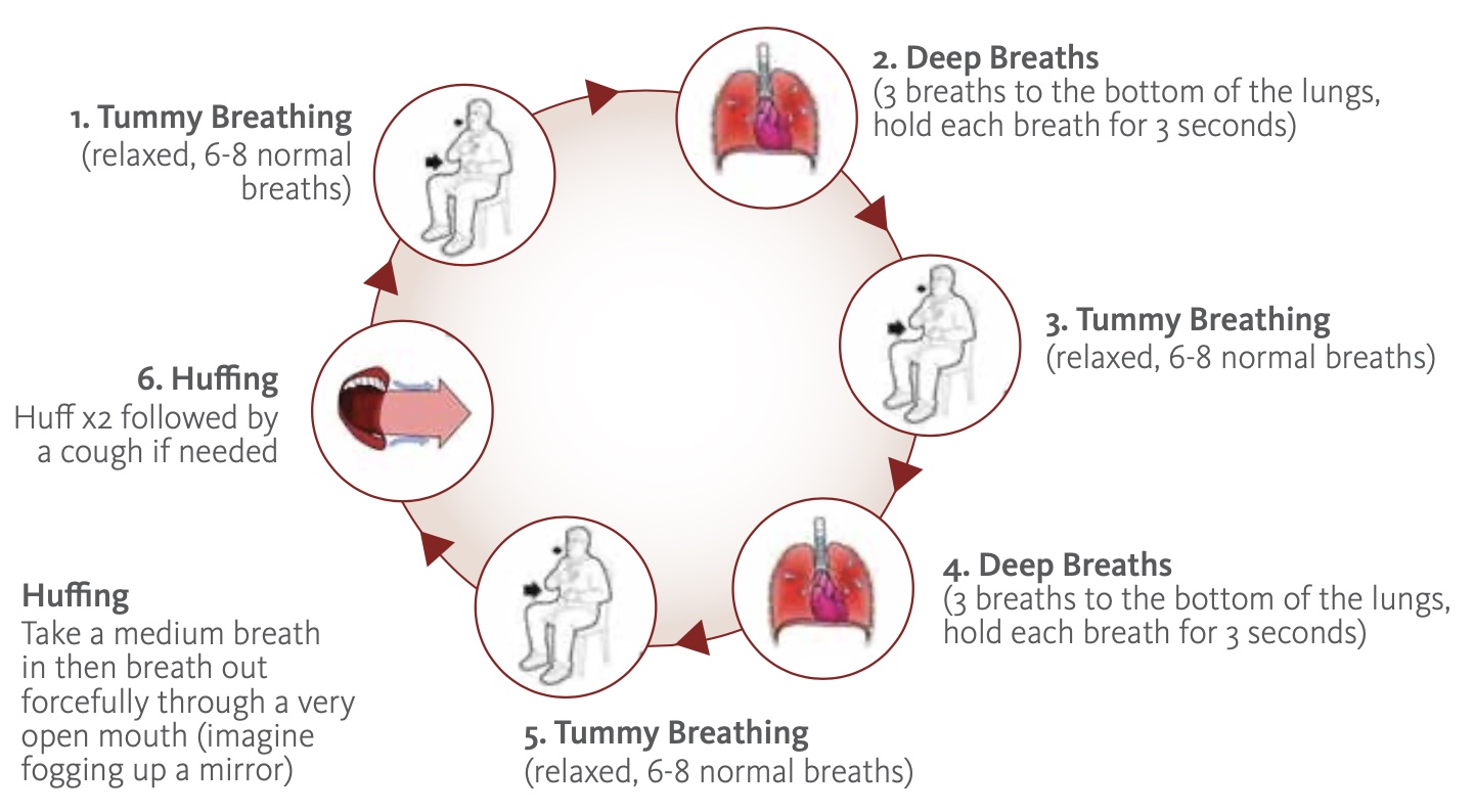 Effects of Imposed Pursed-Lips Breathing On Respiratory Mechanics and  Dyspnea at Rest and During Exercise in COPD | PDF | Chronic Obstructive  Pulmonary Disease | Breathing