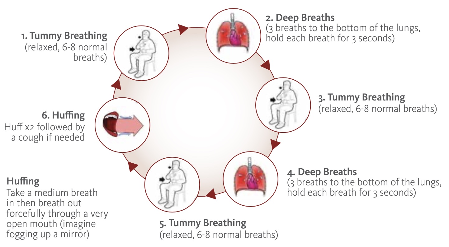 Representative breathing waveforms while throwing a flying disc. A,... |  Download Scientific Diagram